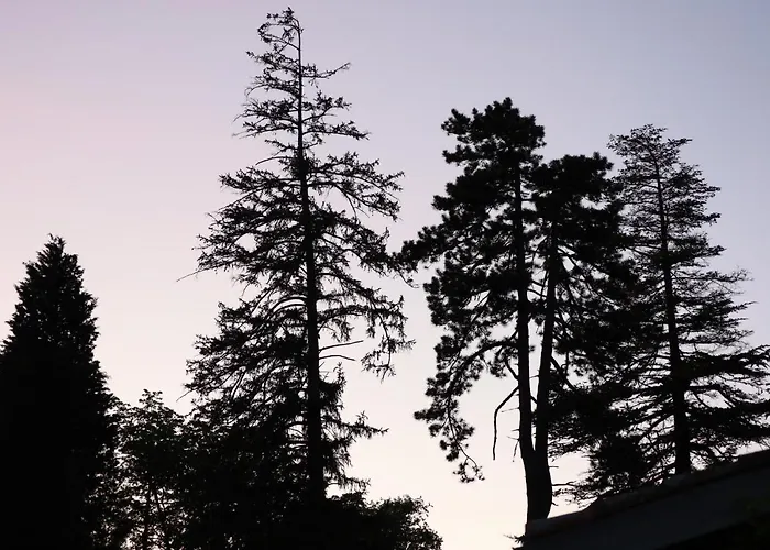 Domaine De Pouroutounat ヴィラ