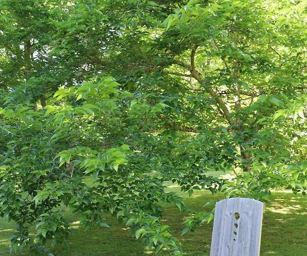 Domaine De Pouroutounat