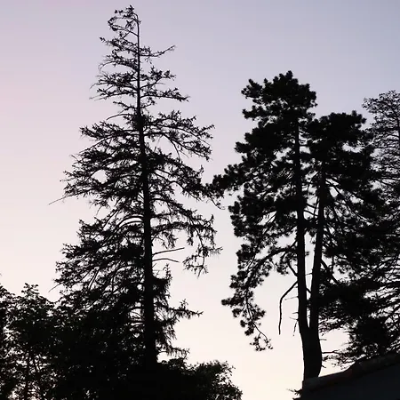 Domaine De Pouroutounat Βίλα