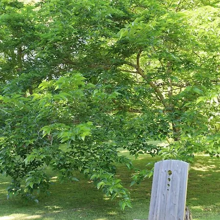 Domaine De Pouroutounat